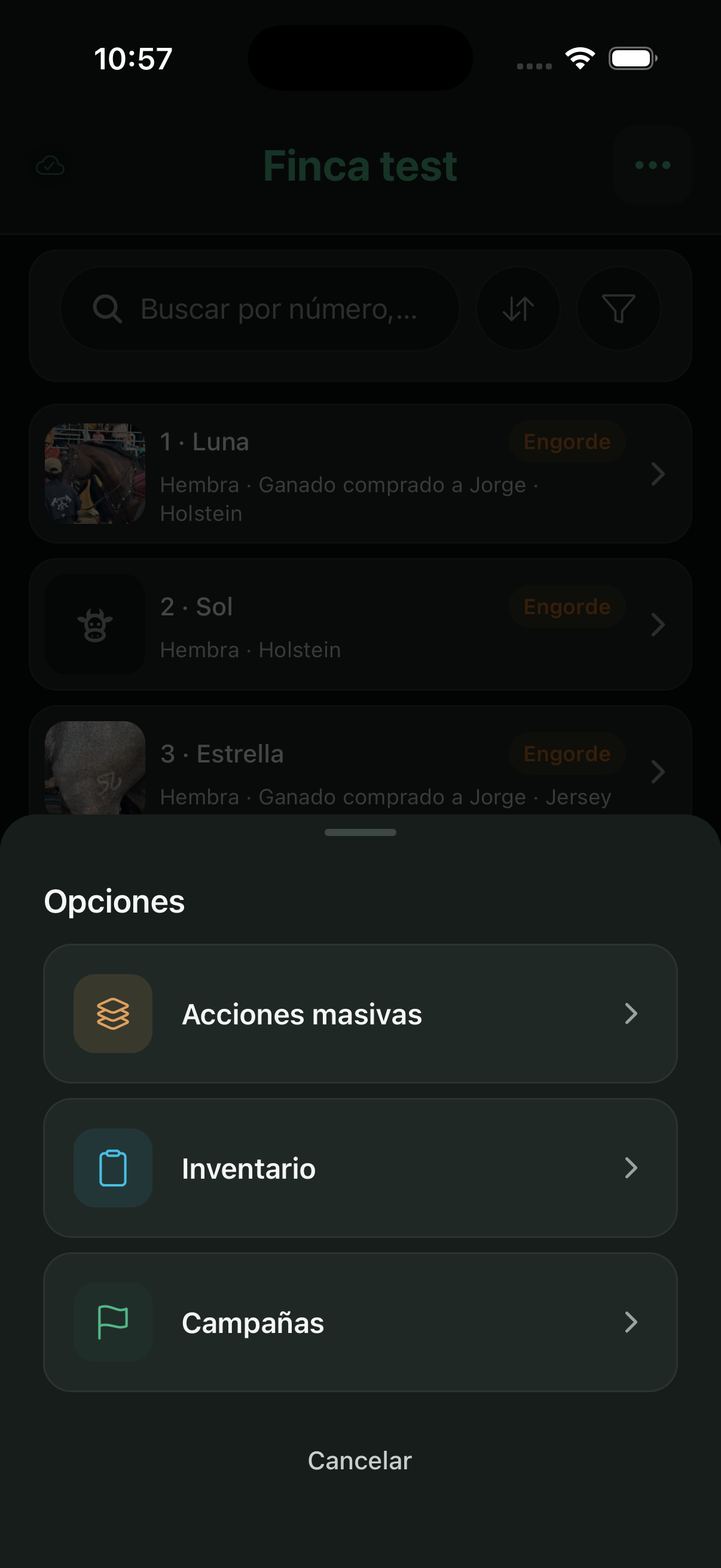 ⋯ menu: bulk actions, inventory, and campaigns