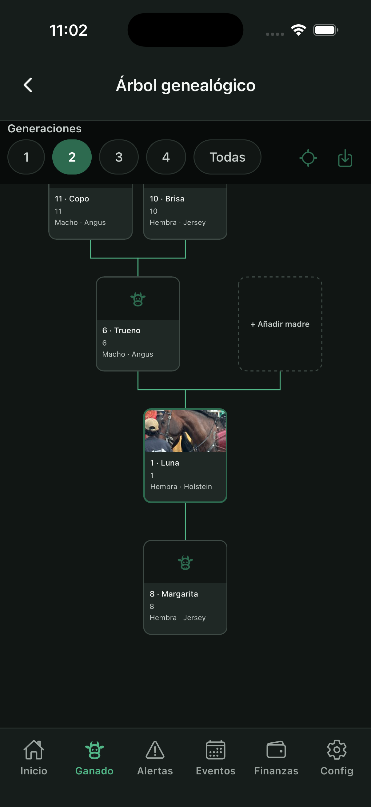 Pedigree tree (family)