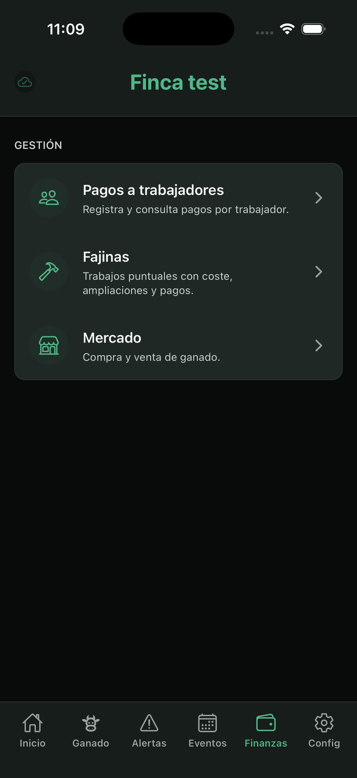 Finances home